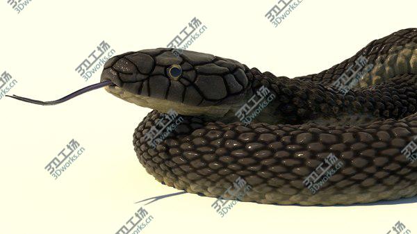 images/goods_img/20210312/Indian Cobra Rigged Animated 3D/5.jpg